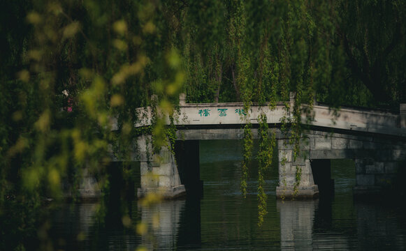 大明湖风景