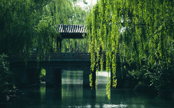 大明湖风景