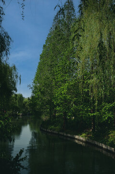 大明湖风景