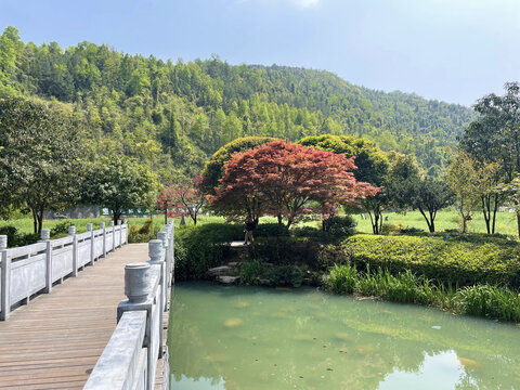 山青水秀