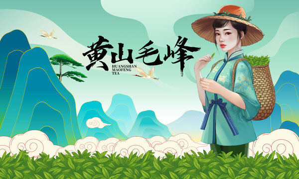 茶葉包裝插畫黃山毛峰