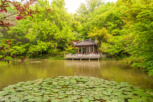 南京栖霞山桃花涧风光