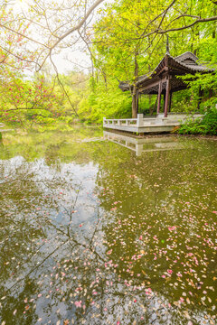 南京栖霞山桃花涧风光