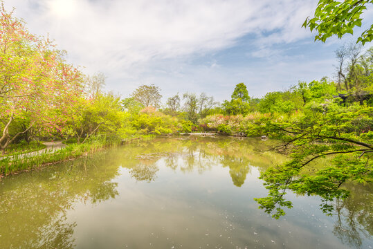 南京栖霞山桃花涧风光