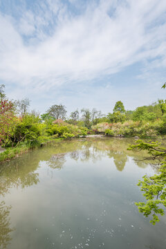 南京栖霞山桃花涧风光