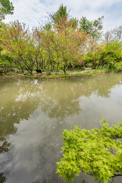 南京栖霞山桃花涧风光