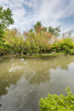 南京栖霞山桃花涧风光