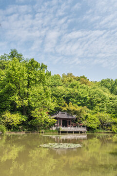 南京栖霞山桃花涧风光