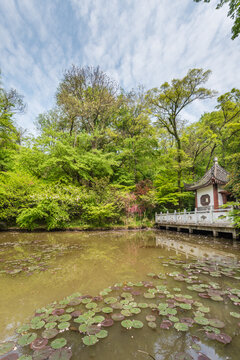 南京栖霞山的幽居庵风光