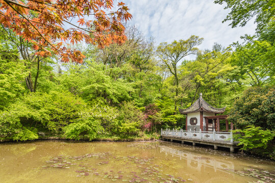 南京栖霞山的幽居庵风光