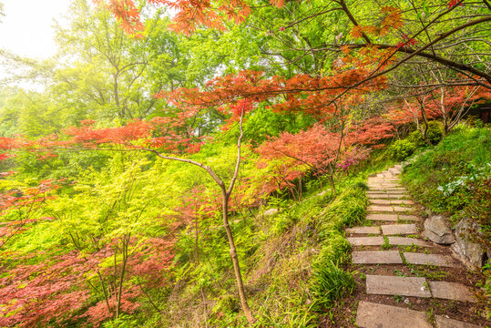 南京栖霞山枫叶古建筑