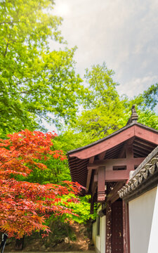 南京栖霞山枫叶古建筑