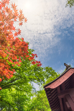 南京栖霞山枫叶古建筑