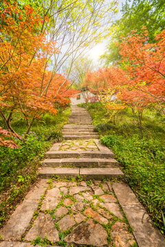 南京栖霞山枫叶古建筑