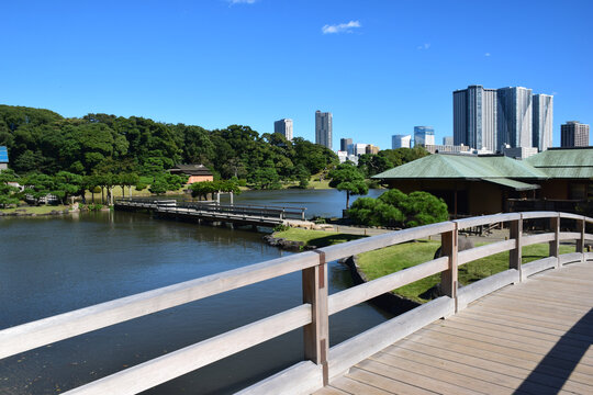 日本东京滨离宫恩赐庭园风景