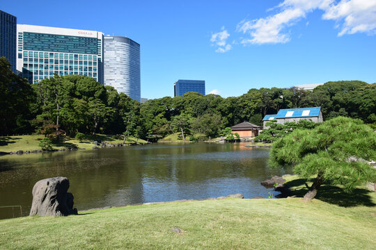 日本东京滨离宫恩赐庭园风景