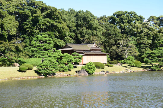 日本东京滨离宫恩赐庭园风景