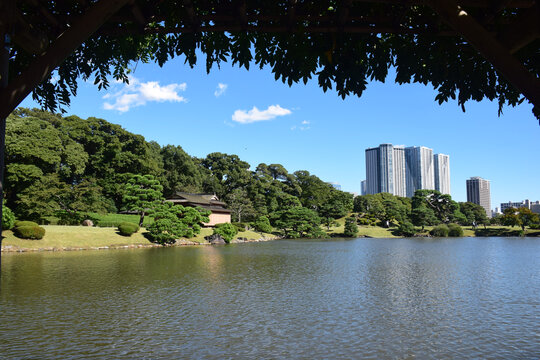 日本东京滨离宫恩赐庭园风景