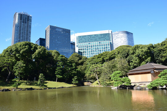 日本东京滨离宫恩赐庭园风景