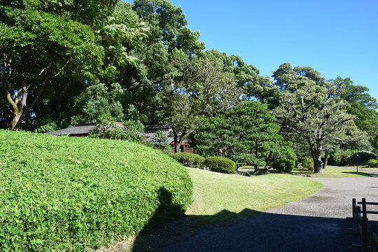 日本东京滨离宫恩赐庭园风景