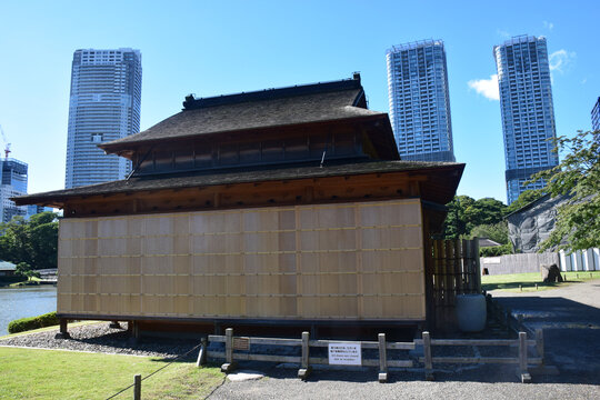 日本东京滨离宫恩赐庭园风景