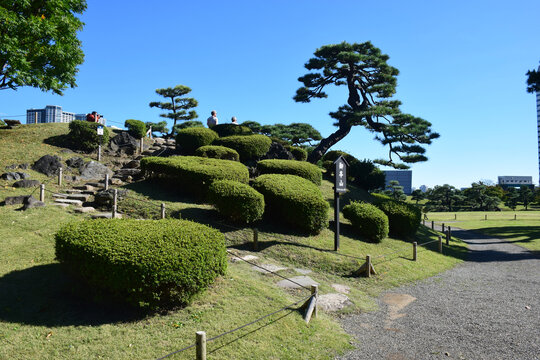 日本东京滨离宫恩赐庭园风景