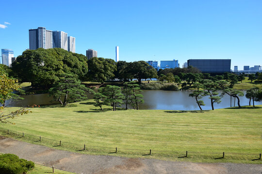 日本东京滨离宫恩赐庭园风景