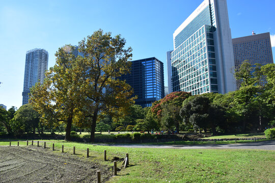 日本东京滨离宫恩赐庭园风景