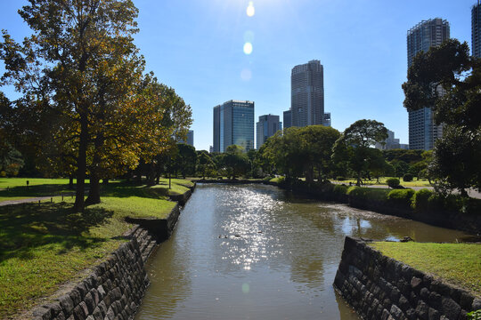 日本东京滨离宫恩赐庭园风景