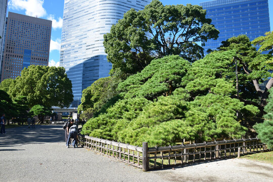 日本东京滨离宫恩赐庭园风景