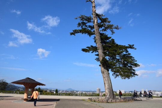 日本仙台城市风光