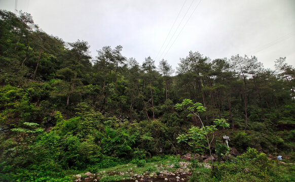 龙源山间溪流