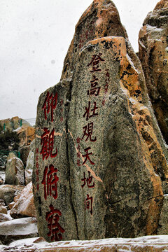 泰山登高壮观天地间