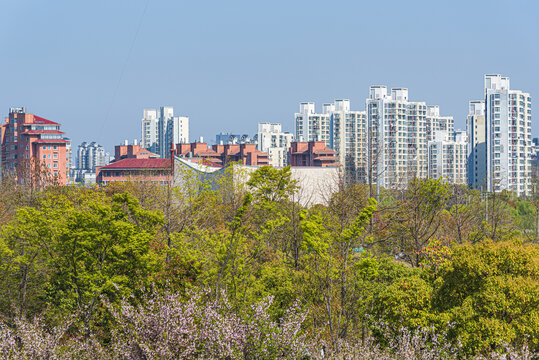 上海城市风光