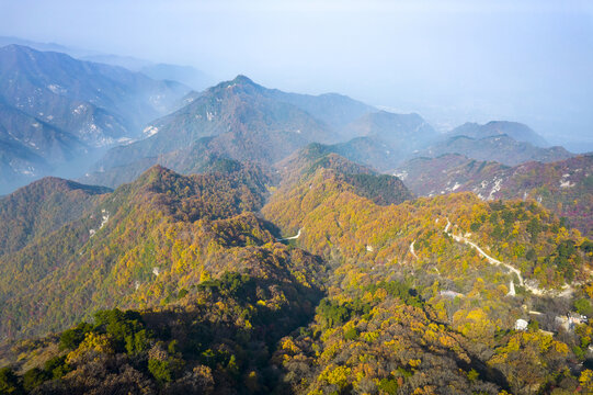 秦岭红叶