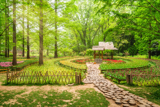 南京中山植物园风景