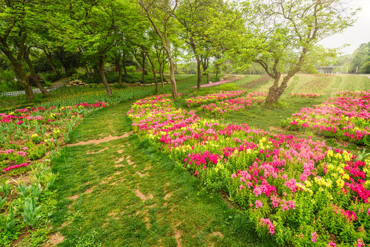 南京中山植物园风景