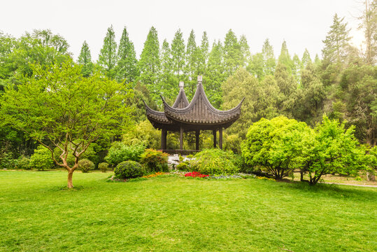 南京中山植物园风景
