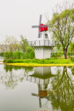 南京中山植物园风景