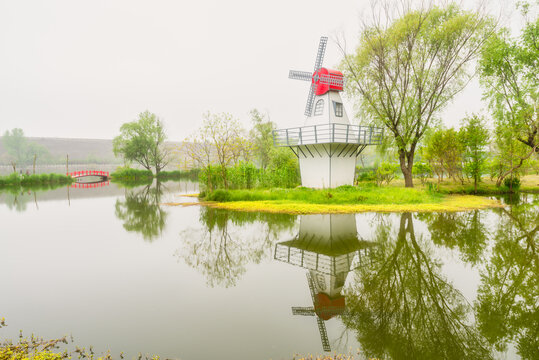 南京中山植物园风景