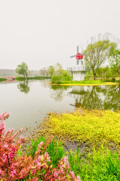 南京中山植物园风景