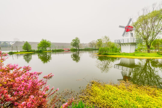 南京中山植物园风景