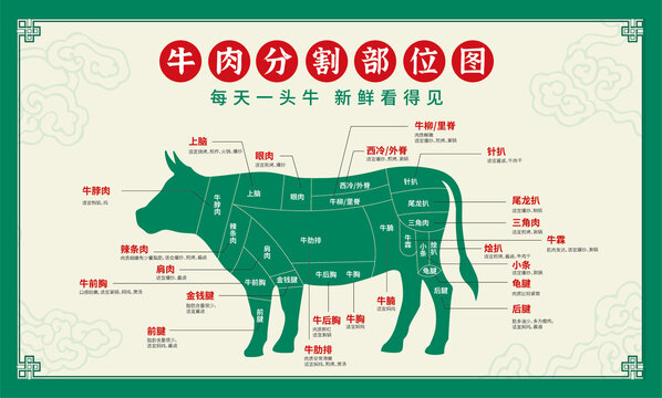 牛肉部位分割图