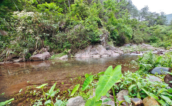 龙源山间溪流