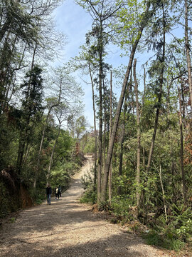 江夏青龙山