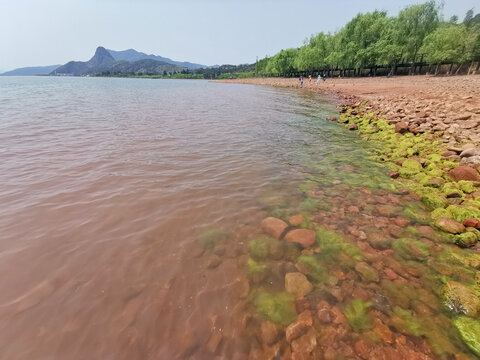 抚仙湖风光