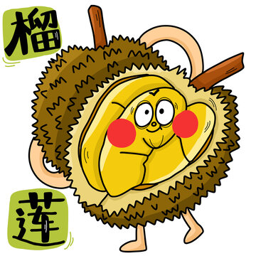卡通榴蓮