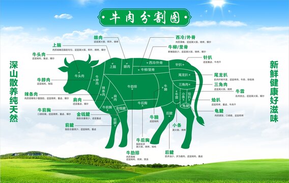 超市牛肉分割图