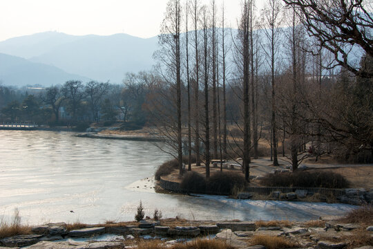 湖边自然风景