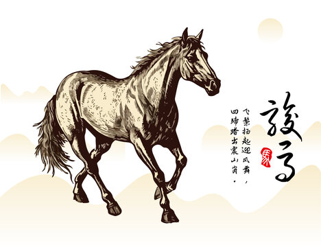 駿馬